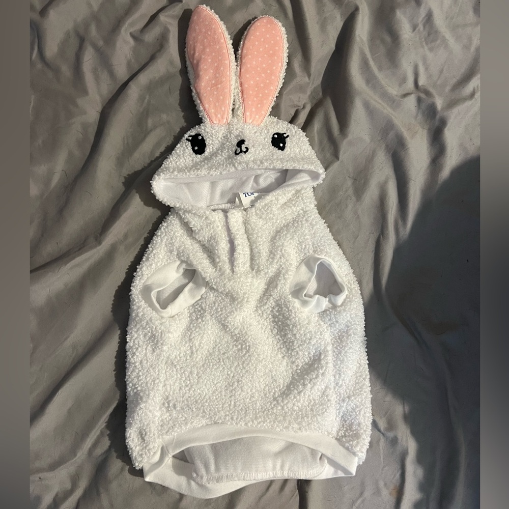 Bunny hoodie for dogs